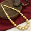 Generous  Beautiful Designer Necklace