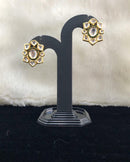 Flowered Radiant Endangered  Earrings