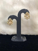 Enlightened Trendsetter Beautiful  Earrings